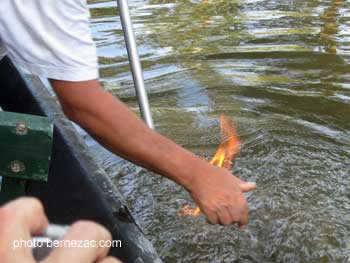 marais poitevin feu sur l'eau